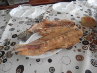/album/fotogaleria/trucha-pescada-con-los-amigos-jpg/